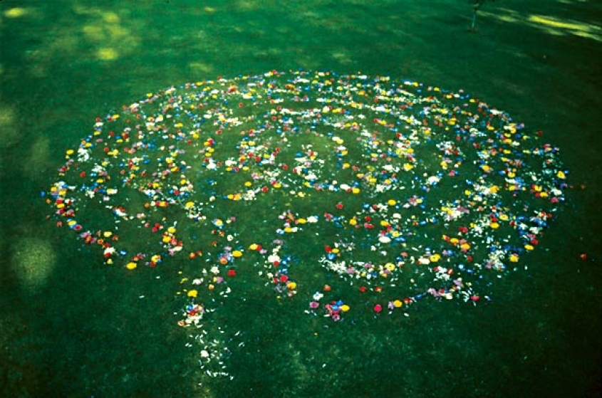 http://www.googleblog.mirunadragan.com/files/gimgs/th-16_void2_1photo2.jpg
