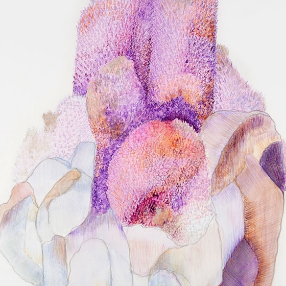 http://www.googleblog.mirunadragan.com/files/gimgs/th-23_Erratics-Draw3-detail-web_v2.jpg