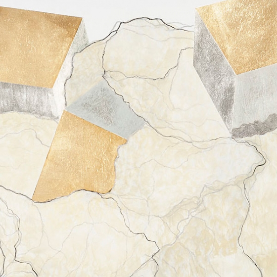 http://www.googleblog.mirunadragan.com/files/gimgs/th-23_Erratics-Draw1-detail-web_v3.jpg