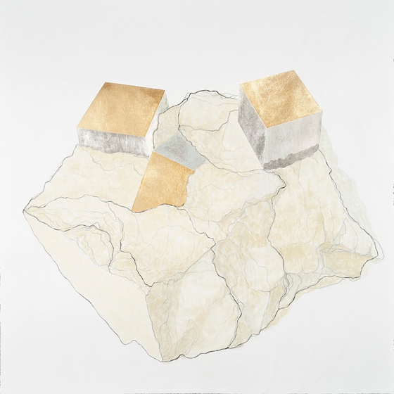 http://www.googleblog.mirunadragan.com/files/gimgs/th-23_Erratics-Draw1-web_v3.jpg